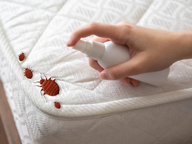 Best Emergency Pest Control  in Ledgewood, NJ